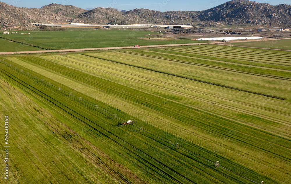 Cut rows n alfalfa field seen from aerial viewpoint in Menifee southern California United States
