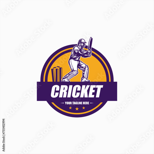 Team Club Cricket Badge Logo Template Vector