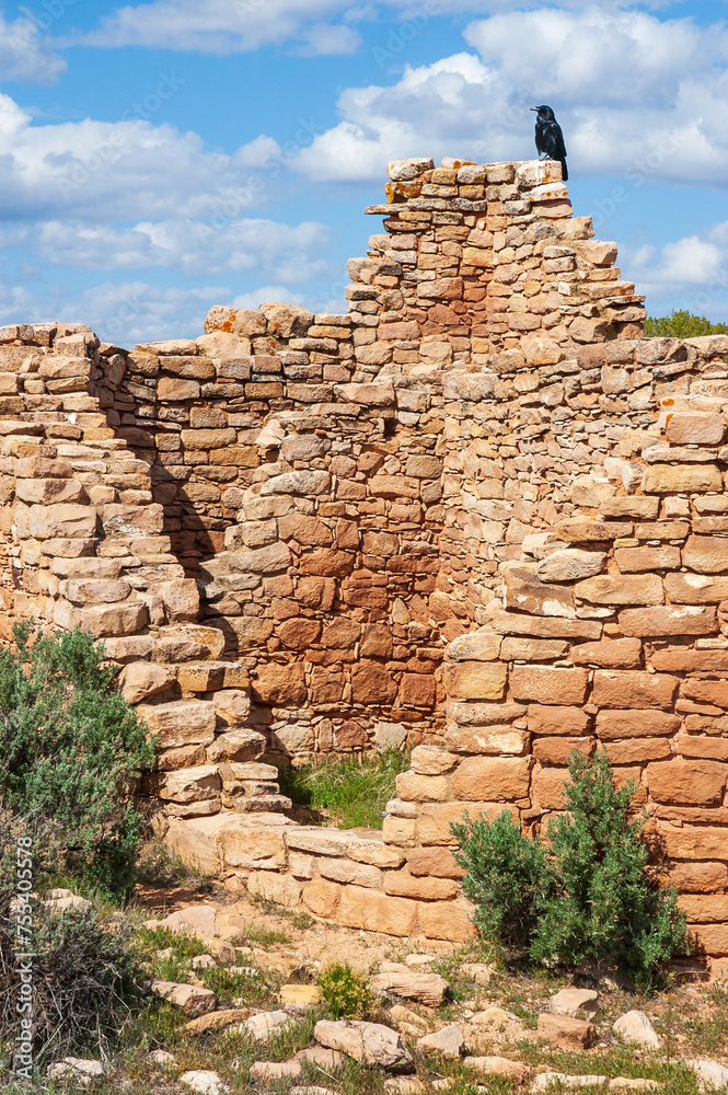 A Raven Atop the Ruins at Hovenweep National Monument