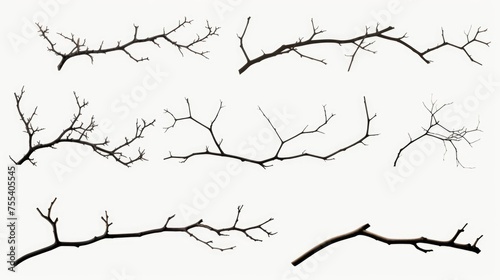A surreal image of branches suspended in mid-air. Perfect for abstract concepts or nature themes