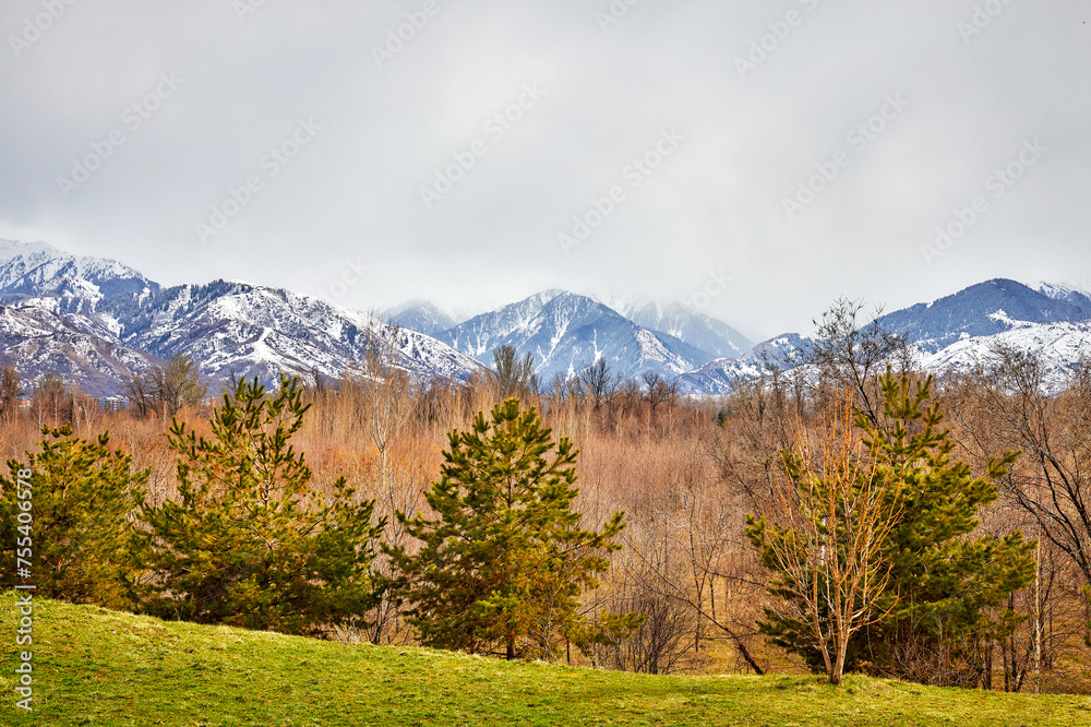 view of the mountains with freshly fallen snow and the park in late autumn