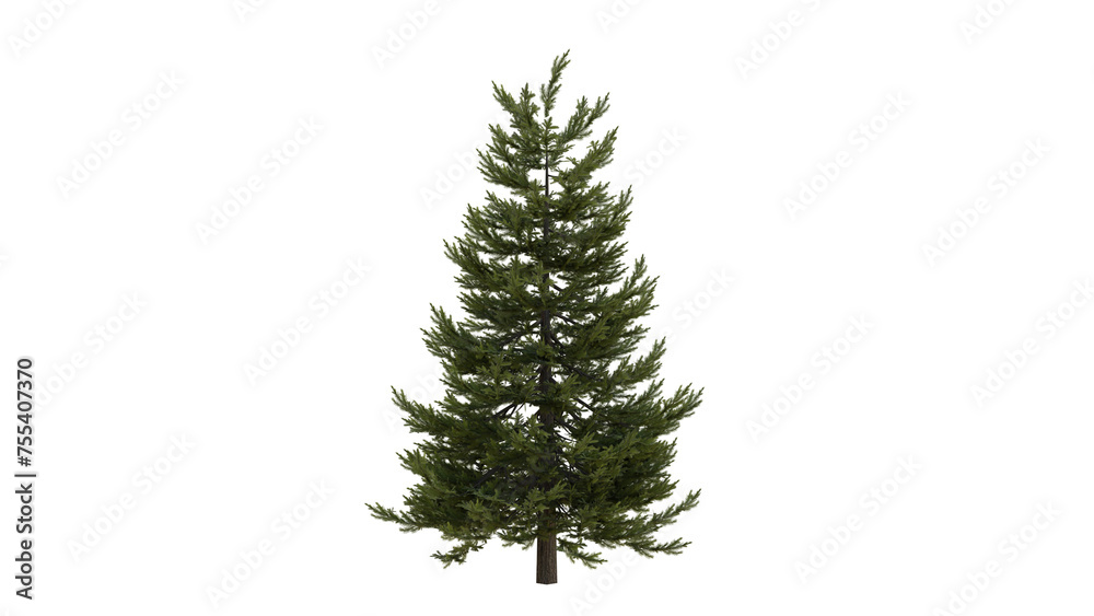 Tree Tree