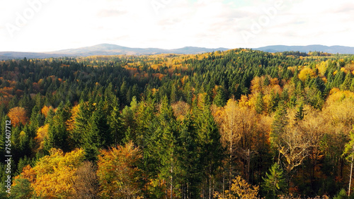 Aerial view of a sunny colorful autumn season forest.