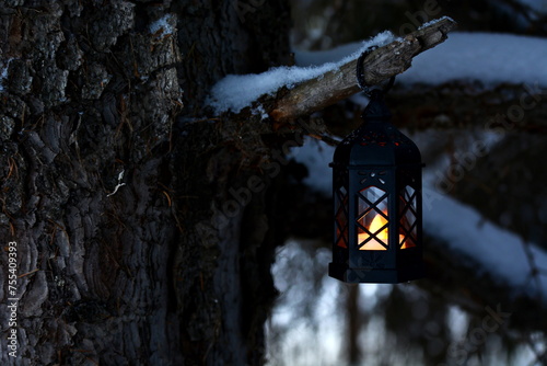 lighted Christmas lantern hanging on a tree branch in dark at forest
