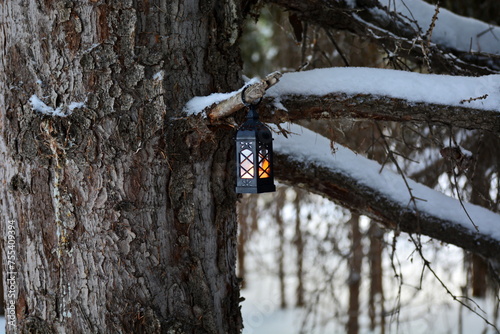 Small lighted Christmas lantern hanging on a tree branch in forest at winter