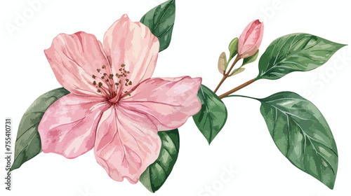 Pink flower with green leaves in digital watercolor