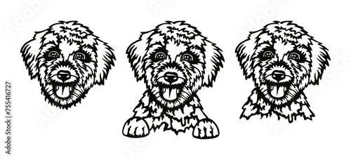 Goldendoodle dog, peeking dog breeds Goldendoodle, pet dog vector portrait, illustration a cute pets