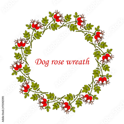 Hand drawn vintage wreath with dog rose berries © foxyliam