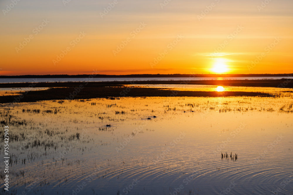 Colorful sunset view in a wetland