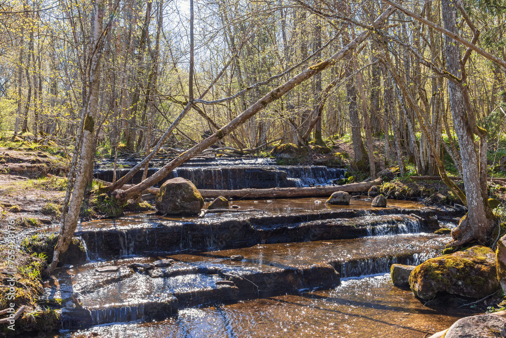 Stream with waterfalls in a budding deciduous forest at springtime