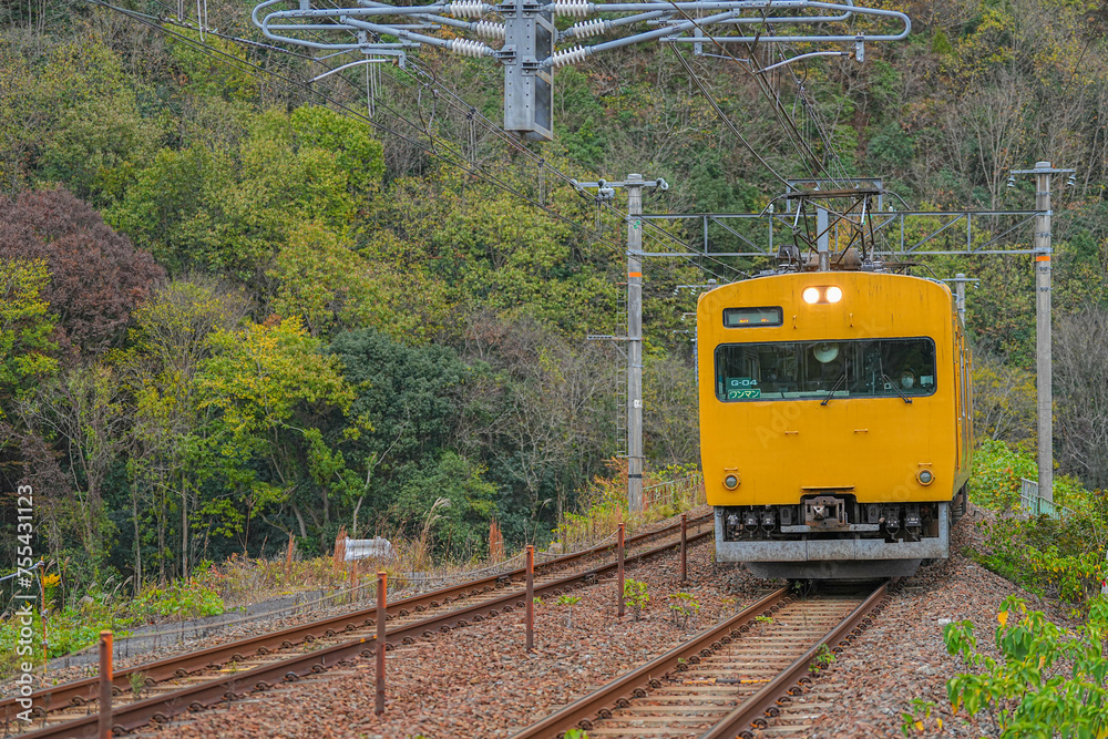 Obraz premium 115系