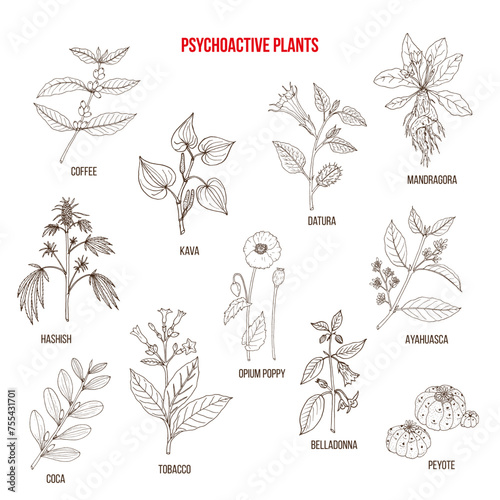 Psychoactive plants collection. Hand drawn vector set of medicinal herbs