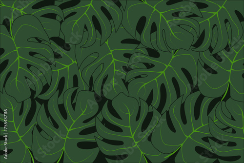 Green Tropical Leaves background with copy space. Palm tree leaves Frame. Vector illustration can used web banner poster template. EPS 10 Editable stroke 