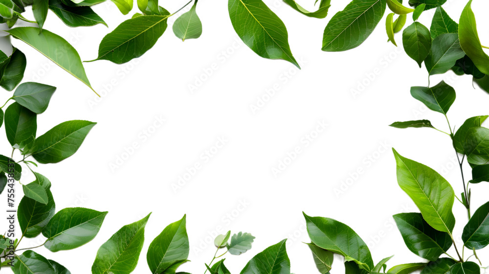 Fototapeta premium Leaf frame on transparent background