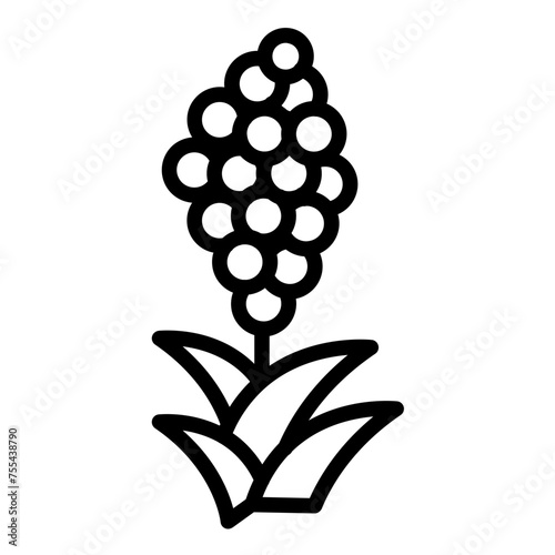 Vector Design Quinoa Icon Style