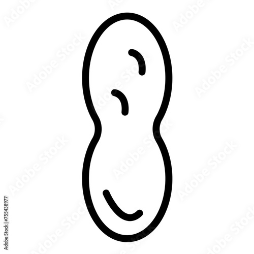 Vector Design Peanut Icon Style