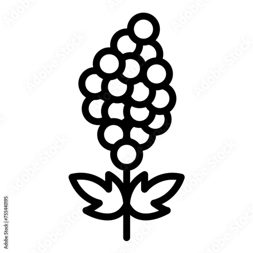 Vector Design Quinoa Quest Icon Style