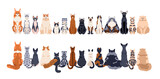 Cats row of different breeds, front and back rear views, tails. Cute feline animals sitting in line, horizontal border. Many kitties, pussycats. Flat vector illustration isolated on white background