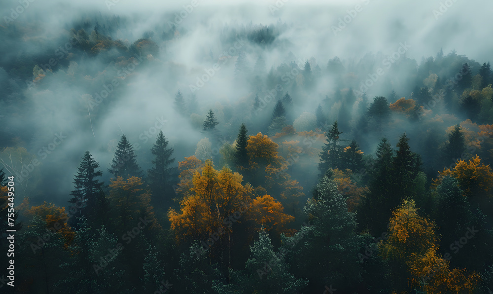 Foggy forest, autumn vibes, Generative AI 