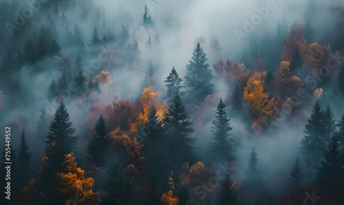 Foggy forest, autumn vibes, Generative AI 
