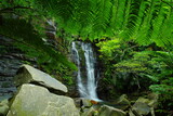 沖縄県西表島　ゲータの滝