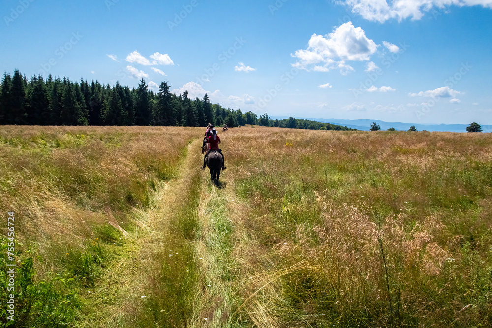 Horseback riding in the carpathian landscape