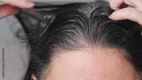 Women are looking to the gray hair. Parting of black women's hair with grey roots. close up photo