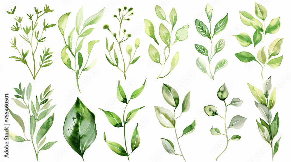 Watercolor floral set of green leaves, greenery, branches, twigs etc.  on white background Generative AI 
