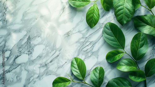 Spa Product Green leaves in water on a light marble background. Summer concept, flat lay, top view. background for the display of natural cosmetics. Nature background for luxury product placement