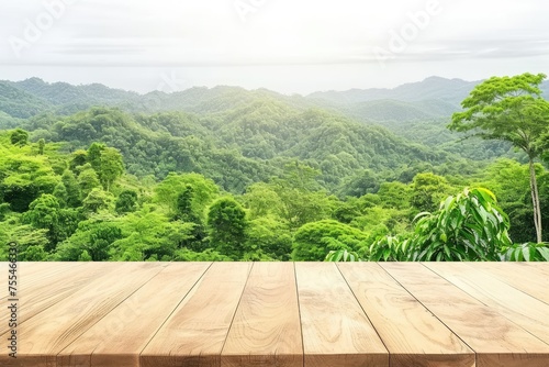 A spring or summer landscape. Mountains and green, deciduous trees.