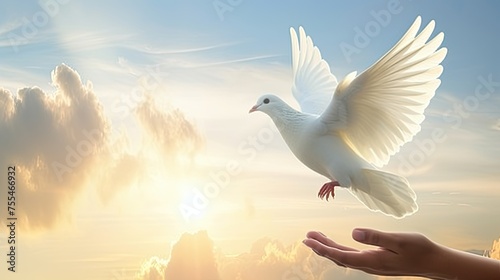 white dove in the sky. A palm, a hand and a flying white dove against the sky. Close-up.
