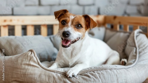 Generative AI, cute happy dog on cozy bed in specialized pet hotel. © DELstudio