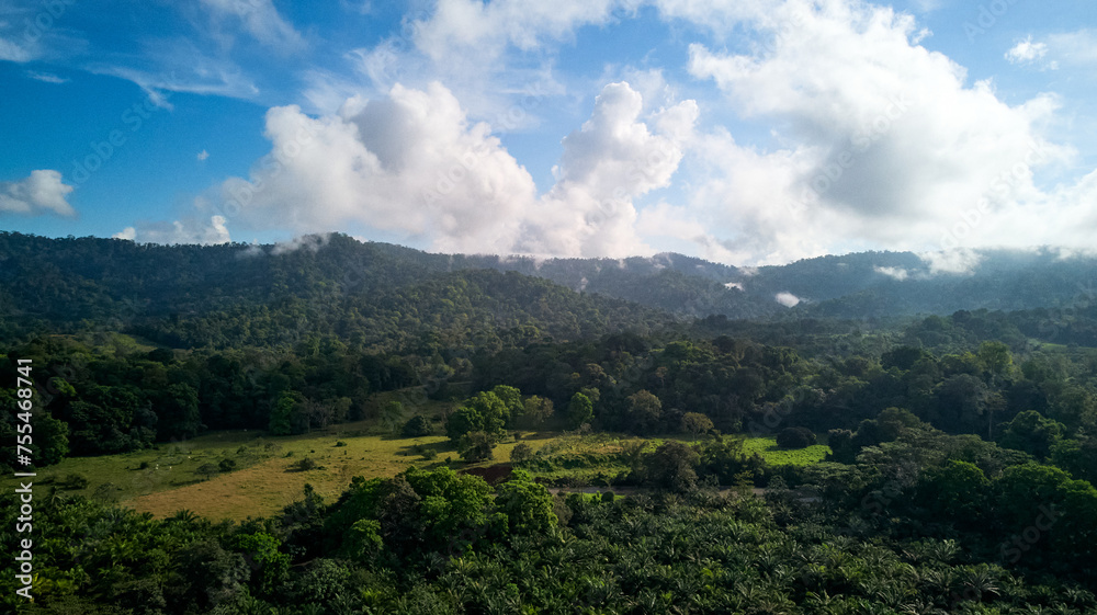 Aerial Shot Jungle and Puntarenas Costa Rica .