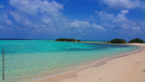 Fototapeta Naklejka Na Ścianę i Meble -  beach with trees maldives island