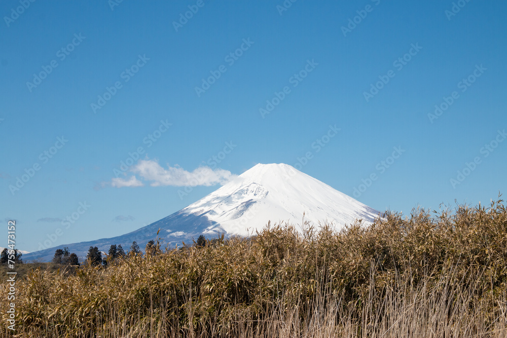 晴天の風景