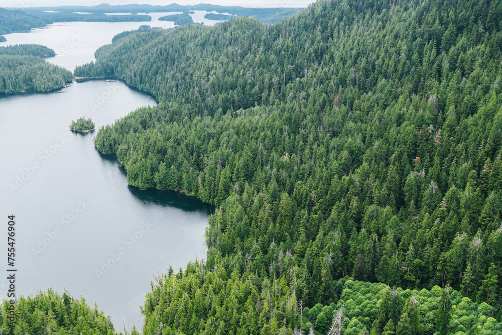 Aerial of Tofino inlet with islands