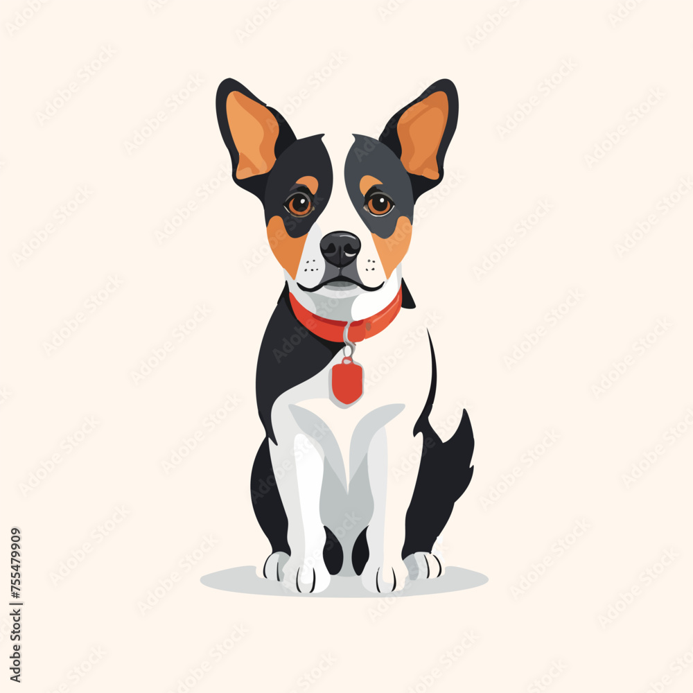 A dog with a red collar sits on a white background. The dog has a black and white coat and a black nose