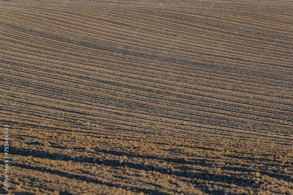 Plowed, Planted And Hilling Rows Black-earth Field. Ground Texture Plowed, Planted And Hilling Rows Black-earth Field. Ground Texture