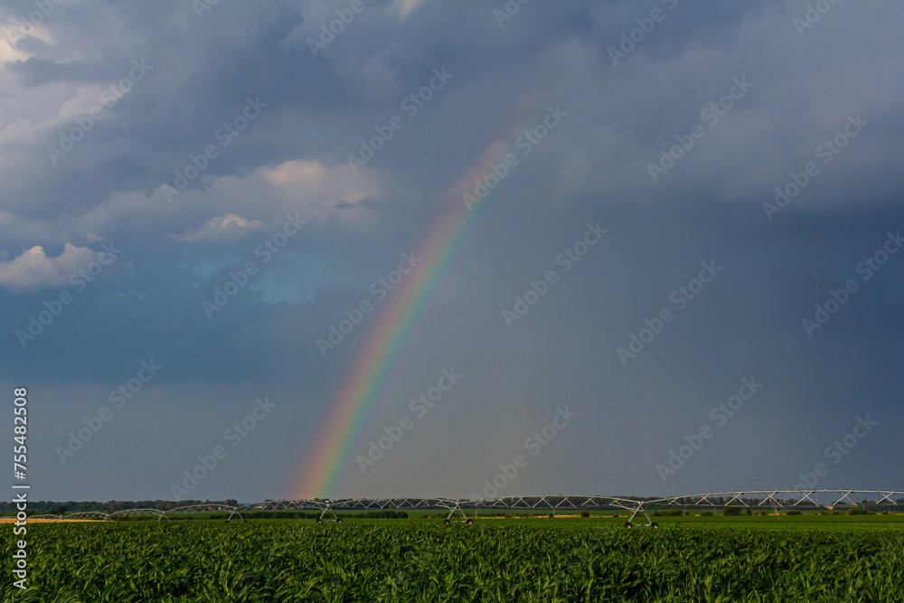 Large irrigation system in a green field, with a beautiful rainbow forming in the spray against a backdrop of cloudy skies