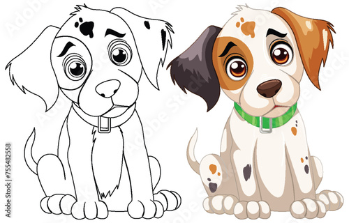 Vector illustration of a puppy in two stages