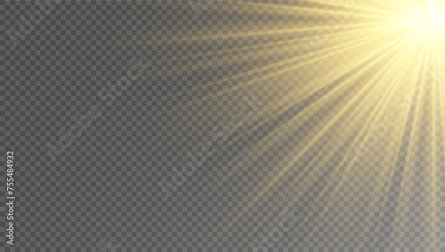 Golden particles of light. Golden light. Light flare.Stars isolated on transparent background.	