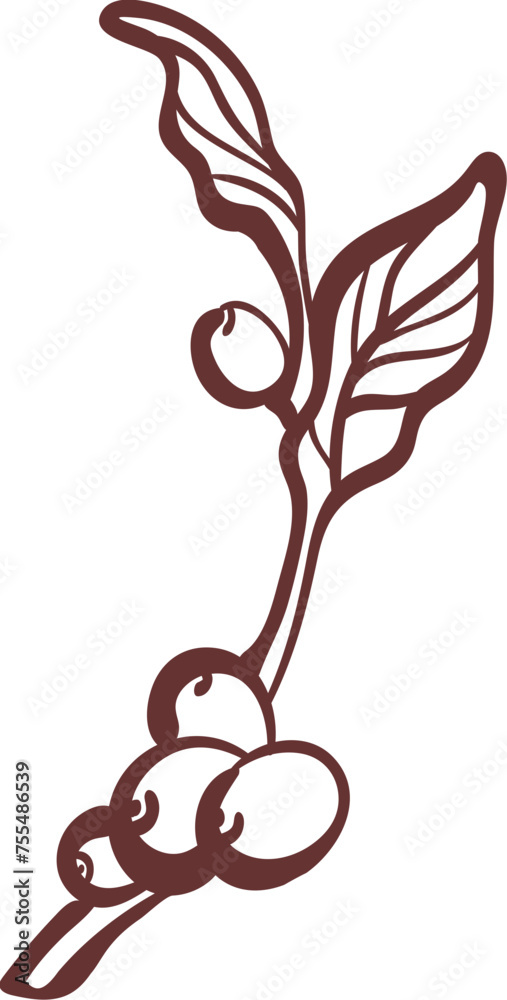 Fototapeta premium Coffee branch, bean. Engraving outline leaves, tree in bloom. Sketch for cafe design