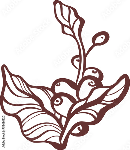 Coffee branch, bean. Engraving outline leaves, tree in bloom. Sketch for cafe design