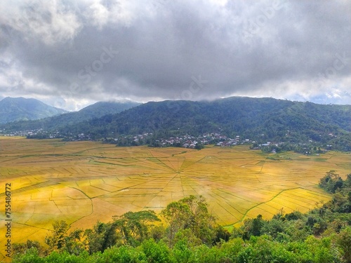 a rice field area shaped like a spider web in Cancar, Manggarai, Flores Island, Indonesia.