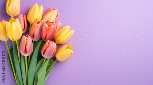 A bouquet of beautiful tulip flowers on a colored back