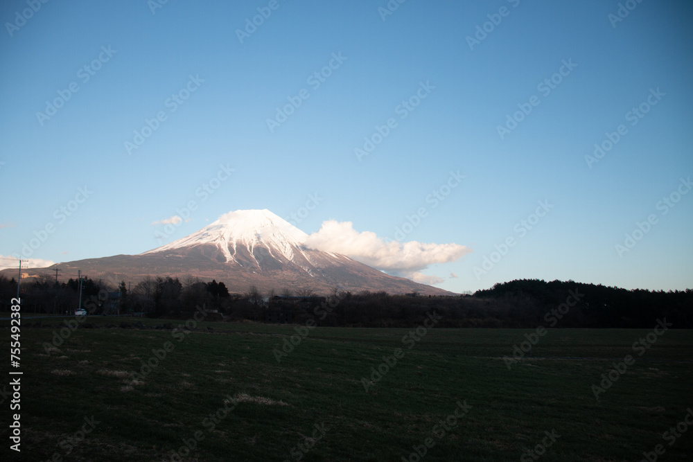 Fototapeta premium 朝霧高原と富士山