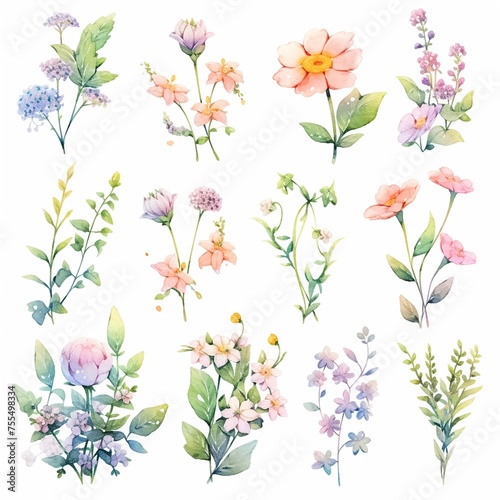 Soft sweet small flowers in watercolor