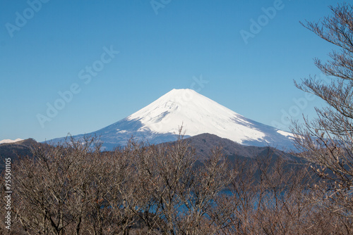 晴天の富士山