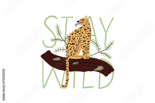 Photography A wild leopard sits on a branch