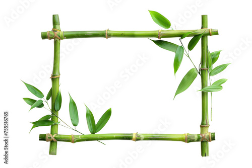 Horizontal Bamboo Frame with Leaves Transparent cutout. Tropical Greenery Design Element with Copy Space